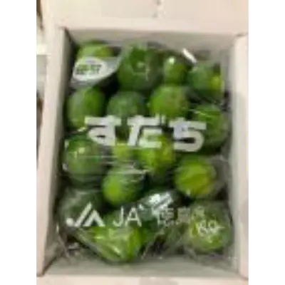 sudachi2 GSK1.png