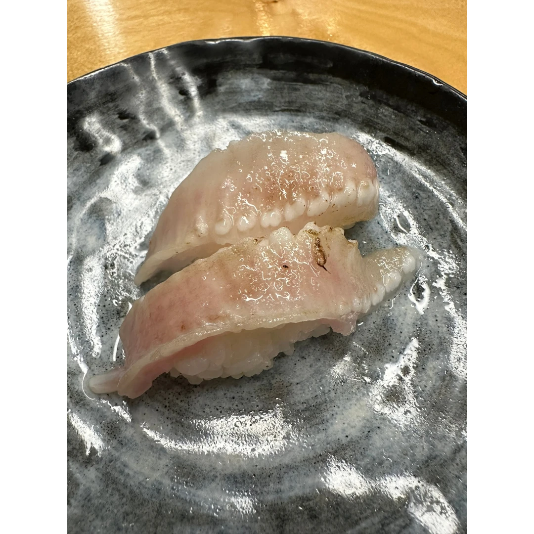 ENGAWA SAMEGAREI - FRESH WILD ROUGHSCALE SOLE - Clidoderma asperrimum (2).png