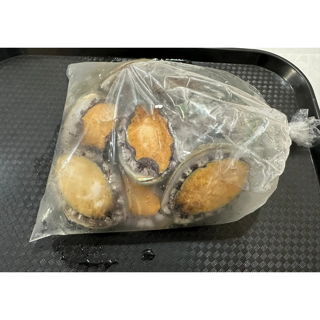 EZO AWABI - FRESH WILD ABALONE SHELLFISH - Haliotis discus hannai Ino.png