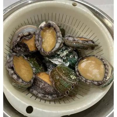 アワビ Awabi LIVE IN SHELL 70g