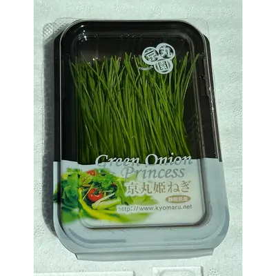 GREEN ONION SPROUTS JAMES.png