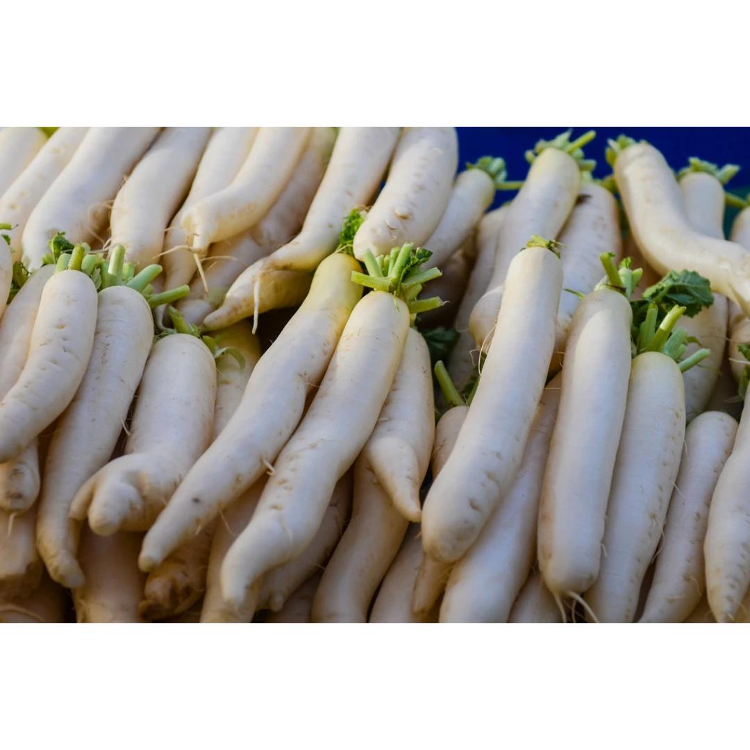 DAIKON 2.png