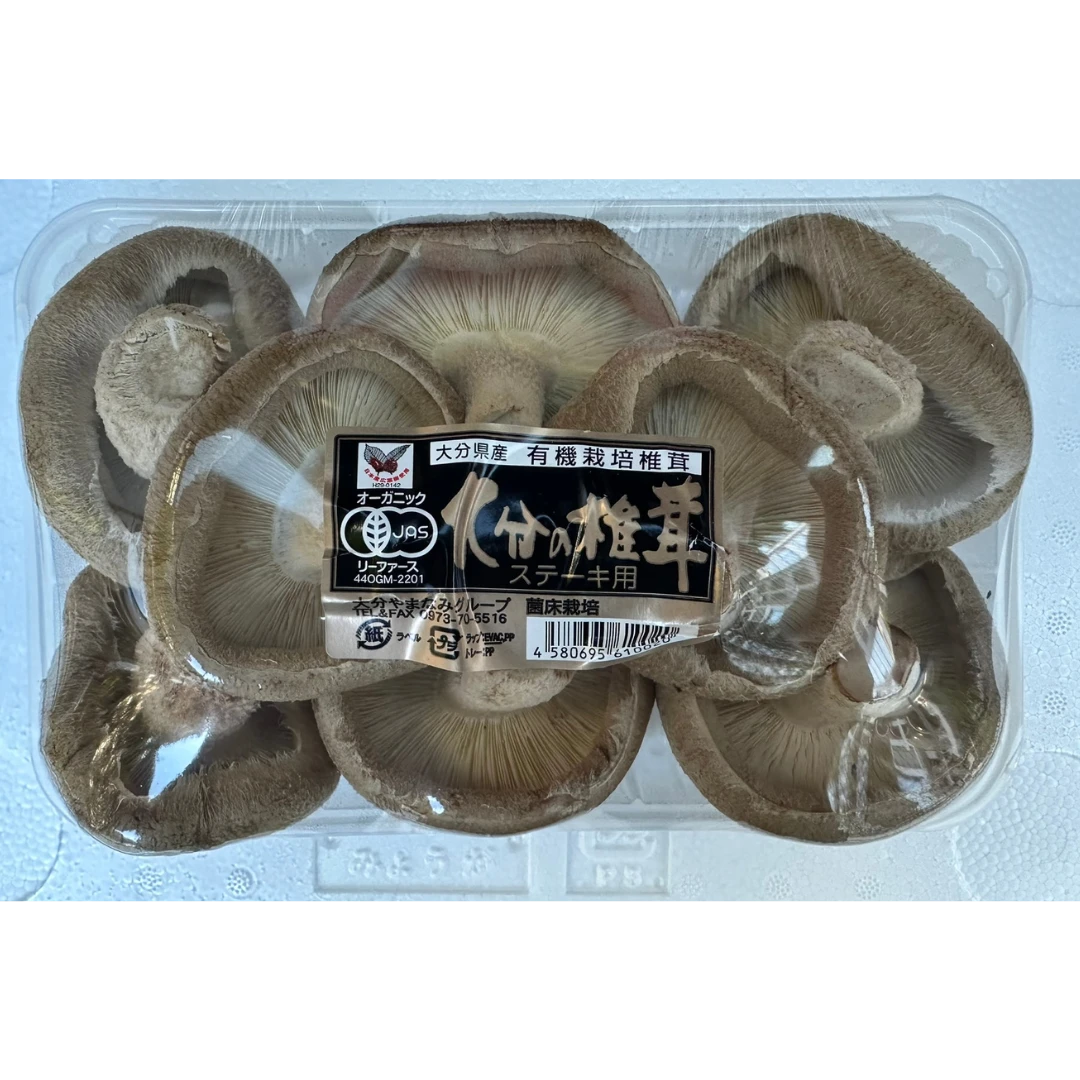 SHIITAKE - FRESH WILD SHIITAKE MUSHROOM - Lentinula edodes GSK1.png