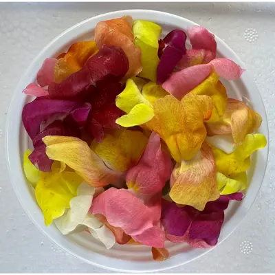 食用花（ドラゴン）Snap Dragon FLOWER 30g