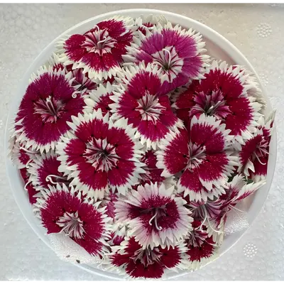 食用花（ダイアナ　赤）Diana Red FLOWER 30g