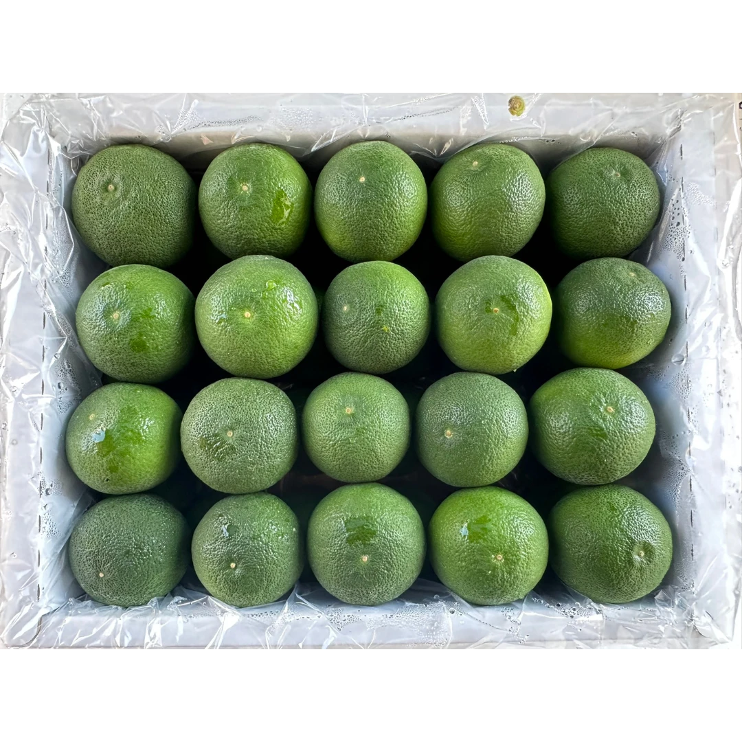 SUDACHI - Citrus sudachi GSK1 (3).png