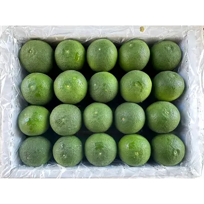 すだち Sudachi Citrus Box 1 KG