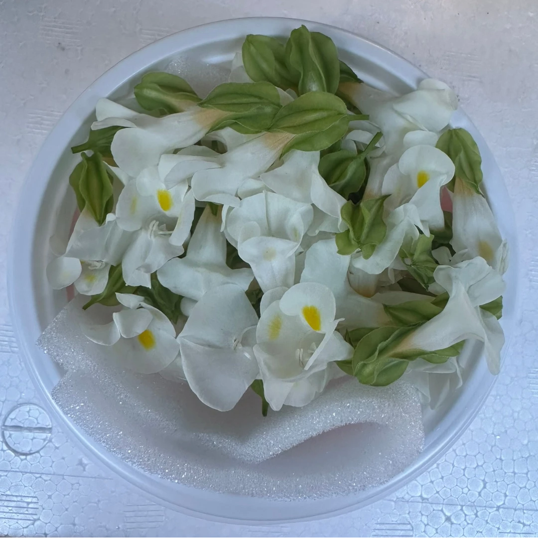 SHOKUYŌ HANA (TORENIA SHIRO) - EDIBLE FLOWER (White) - Torenia GSK1.png