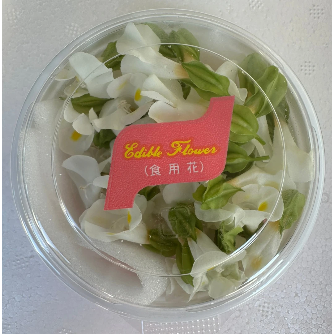 SHOKUYŌ HANA (TORENIA SHIRO) - EDIBLE FLOWER (White) - Torenia GSK1 (2).png