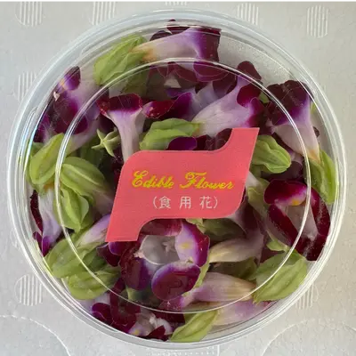 SHOKUYŌ HANA (TORENIA MURASAKI) - EDIBLE FLOWER (Purple) - Torenia GSK1.png