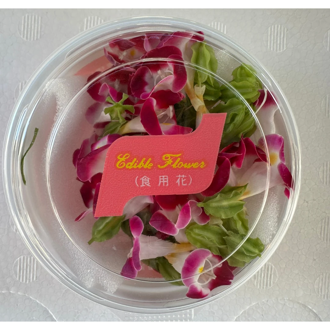 SHOKUYŌ HANA (TORENIA AKA) - EDIBLE FLOWER (Red) - Torenia GSK1.png