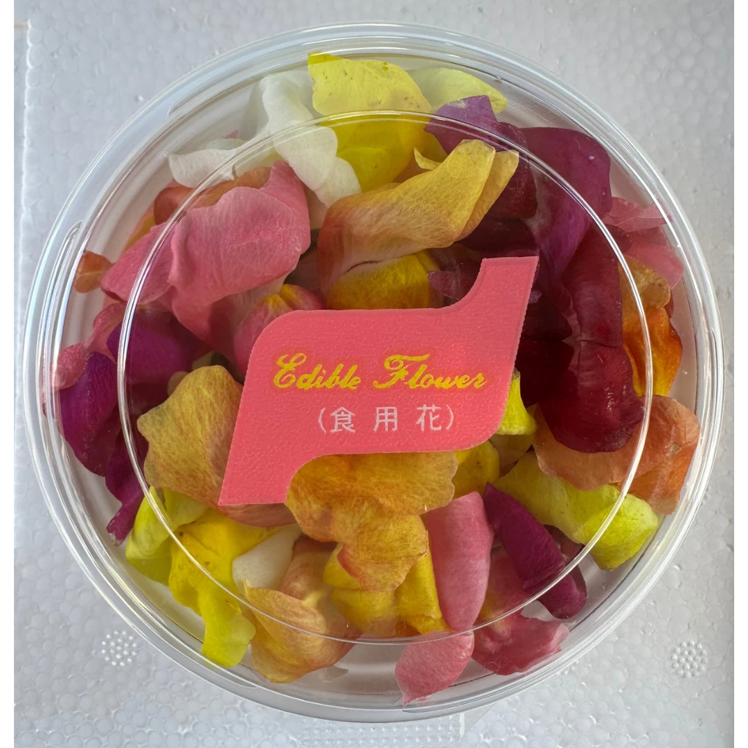 SHOKUYŌ HANA (DORAGON) - SNAP DRAGON EDIBLE FLOWER - Antirrhinum majus L. GSK1.png
