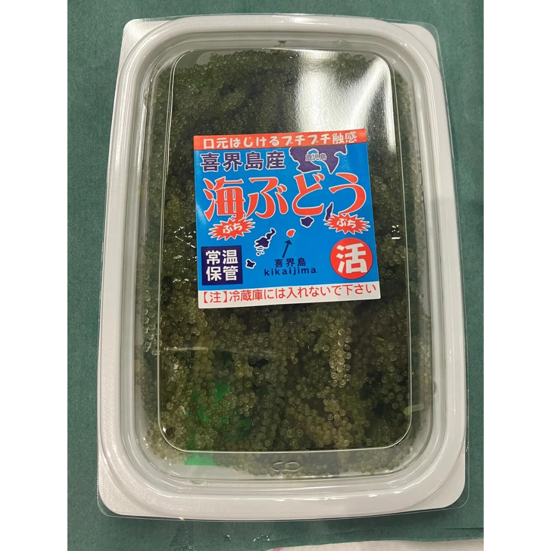 UMIBUDŌ - FRESH WILD SEA GRAPES - Caulerpa lentillifera GSK1.png