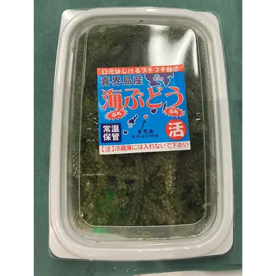 UMIBUDŌ - FRESH WILD SEA GRAPES - Caulerpa lentillifera GSK1.png