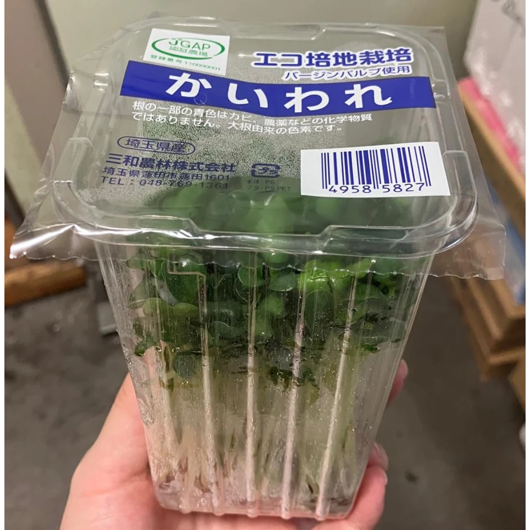 KAIWARE - FRESH WILD RADISH SPROUTS - Raphanus sativus var. longipinnatus GSK1.png