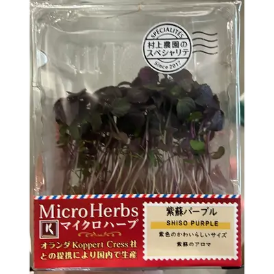 マイクロハーブ 紫蘇パープル Shiso Purple MICROGREENS
