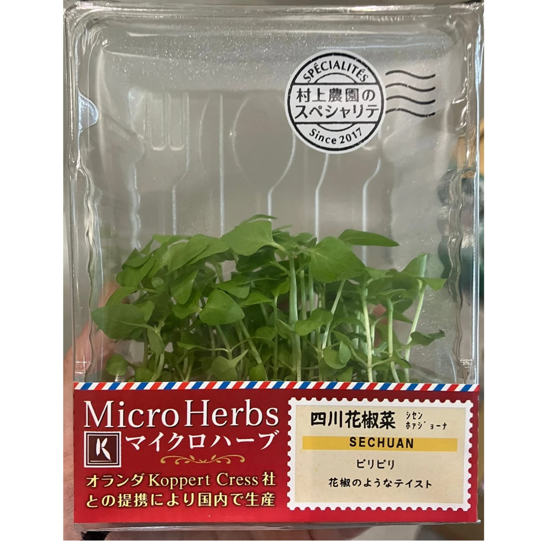 SECHUAN - SECHUAN PEPPER MICROGREENS - Zanthoxylum bungeanum GSK1.png