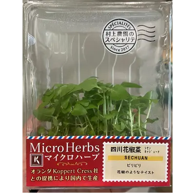 マイクロハーブ 四川花椒菜  Sechuan Pepper MICROGREENS