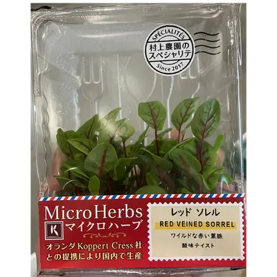 レッドソレル Red Veined Sorrel MICROGREENS