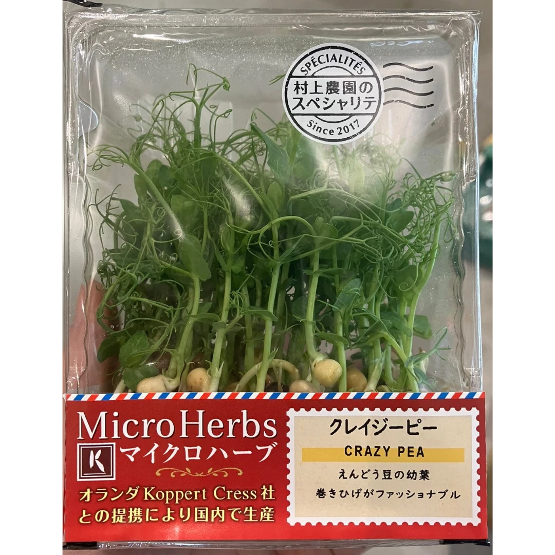 KUREIJĪPĪ - PEA SHOOTS MICROGREENS - Pisum sativum GSK1.png