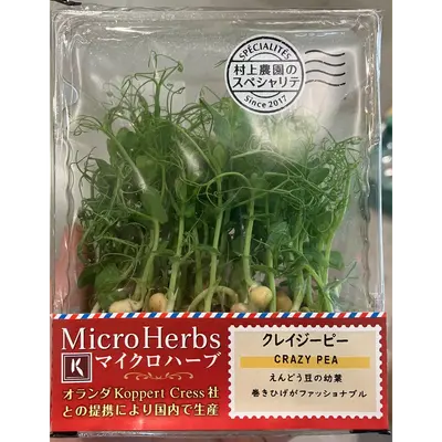 マイクロハーブ クレイジーピー  Pea SHOOTS