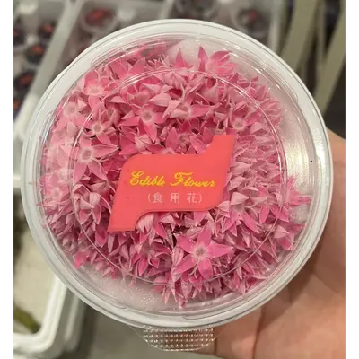 食用花（ペンタス　ピンク）Pentas (Pink) EDIBLE FLOWER 30g