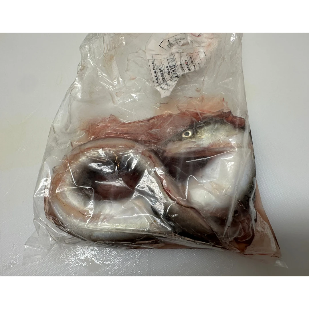 UNAGI - FRESH WILD GIANT MOTTLED EEL - Anguilla marmorata Quoy and Gaimard GSK1 (2).png
