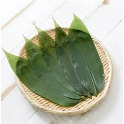 SASANOHA - BAMBOO LEAVES - Sasa GSK1.png