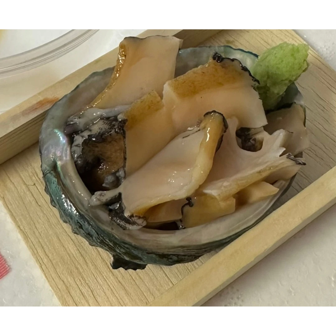 EZO AWABI - FRESH WILD ABALONE - Haliotis discus hannai Ino GSK1.png