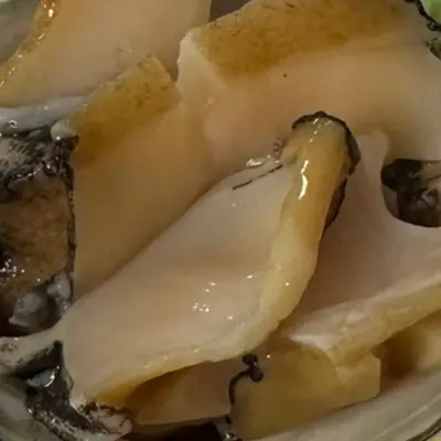 EZO AWABI - FRESH WILD ABALONE - Haliotis discus hannai Ino GSK1 (2).png