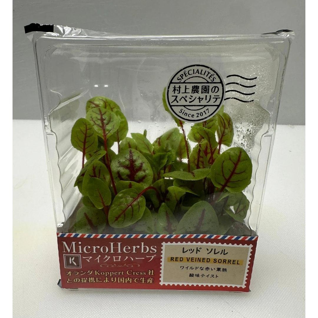 REDDOSORERU - RED VEINED SORREL MICROGREENS - Rumex sanguineus GSK1.png