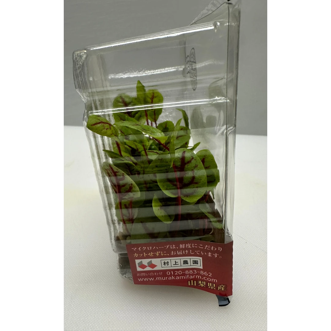 REDDOSORERU - RED VEINED SORREL MICROGREENS - Rumex sanguineus GSK1 (3).png