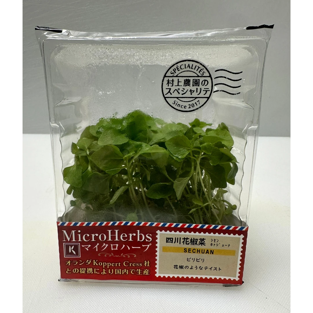 SECHUAN - SECHUAN PEPPER MICROGREENS - Zanthoxylum bungeanum GSK1.png