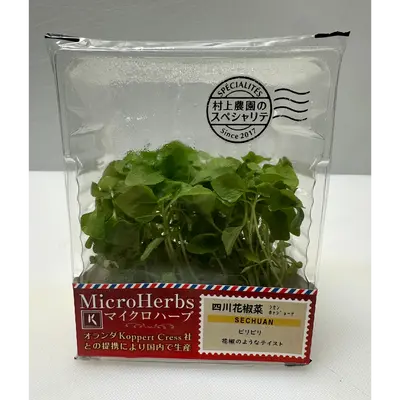 SECHUAN - SECHUAN PEPPER MICROGREENS - Zanthoxylum bungeanum GSK1.png