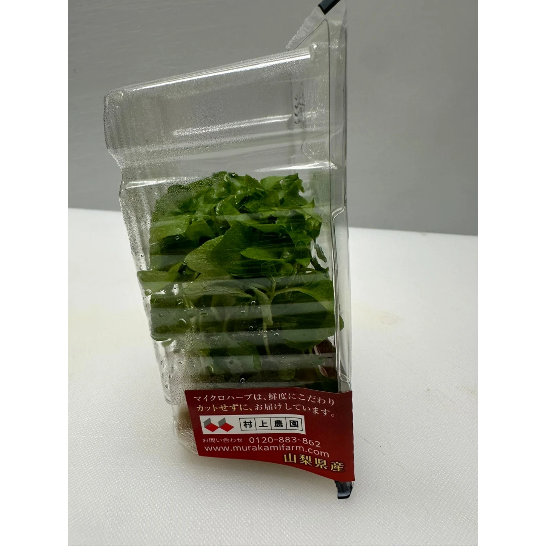 SECHUAN - SECHUAN PEPPER MICROGREENS - Zanthoxylum bungeanum GSK1 (4).png
