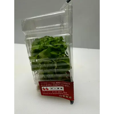 SECHUAN - SECHUAN PEPPER MICROGREENS - Zanthoxylum bungeanum GSK1 (4).png