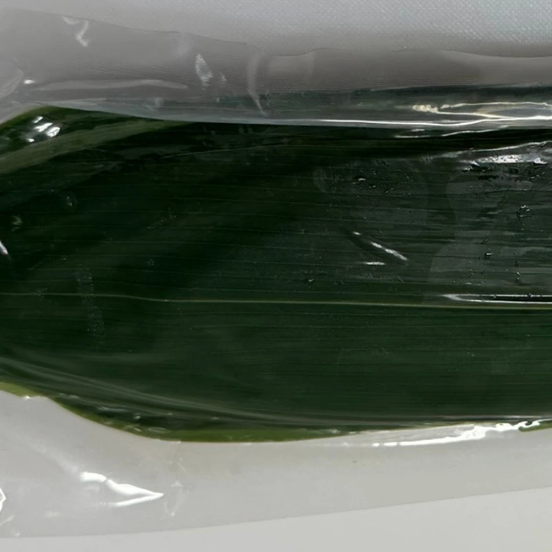 SASANOHA - BAMBOO LEAVES - Sasa kurilensis GSK1 (4).png
