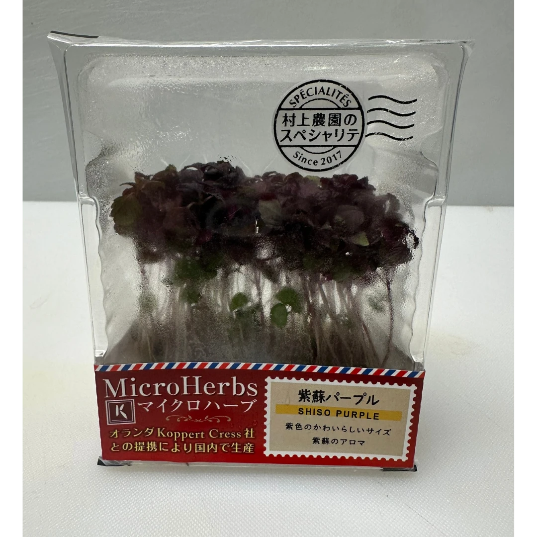 SHISO PĀPURU - SHISO PURPLE MICROGREENS - Perilla frutescens var. crispa GSK1.png