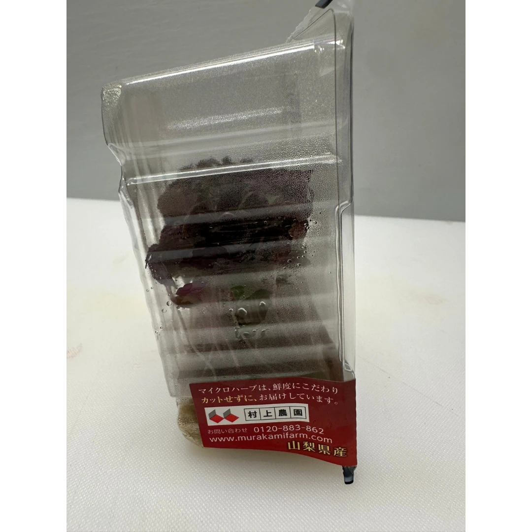 SHISO PĀPURU - SHISO PURPLE MICROGREENS - Perilla frutescens var. crispa GSK1 (4).png