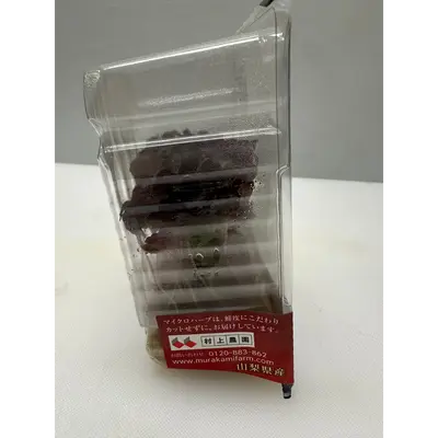 SHISO PĀPURU - SHISO PURPLE MICROGREENS - Perilla frutescens var. crispa GSK1 (4).png