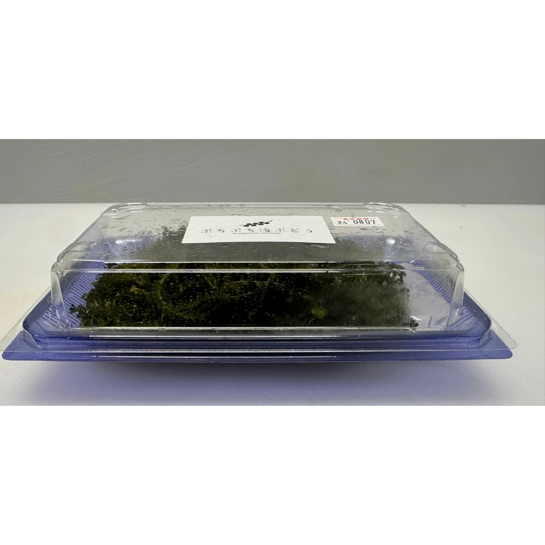 UMIBUDŌ - FRESH WILD SEA GRAPES - Caulerpa lentillifera GSK1 (2).png