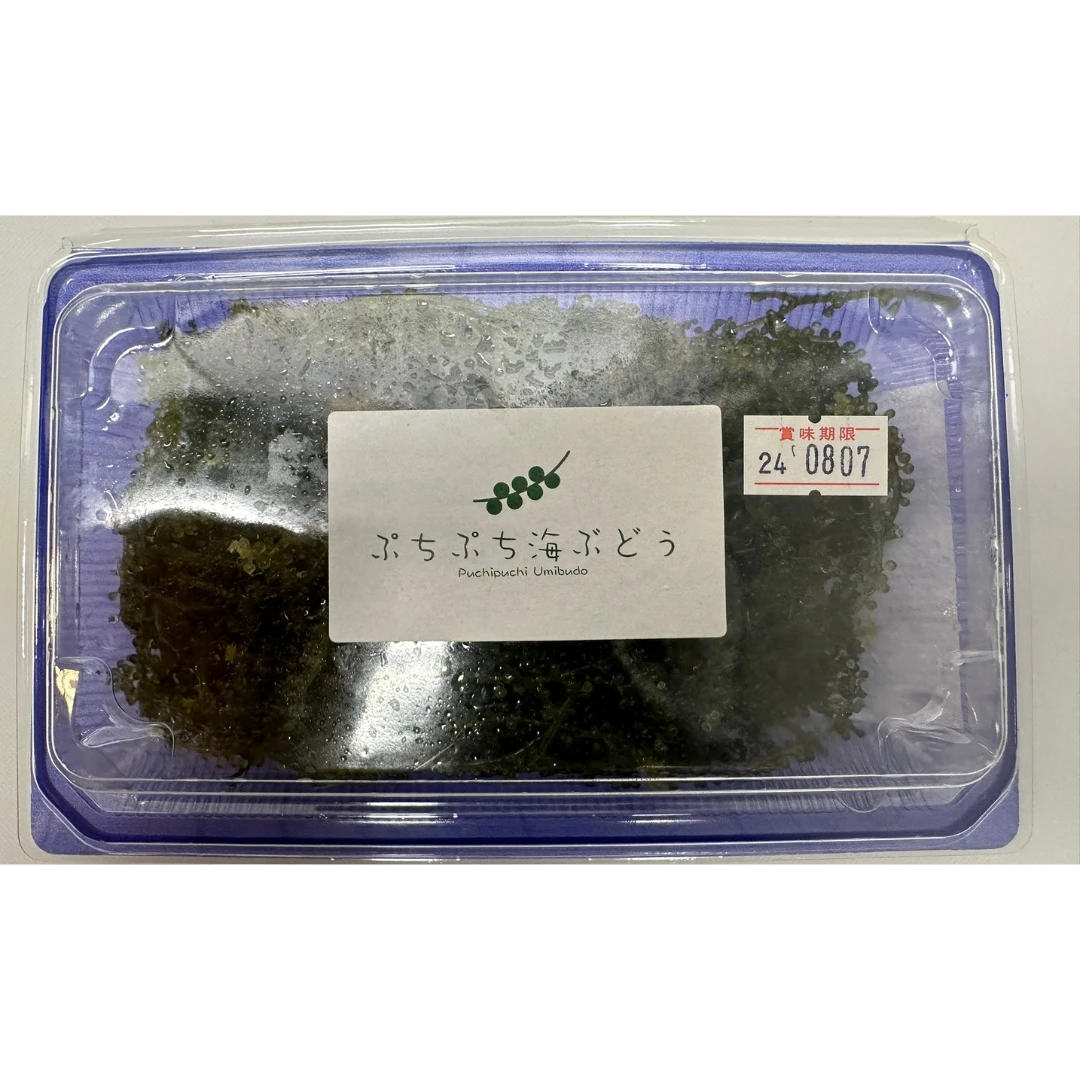 UMIBUDŌ - FRESH WILD SEA GRAPES - Caulerpa lentillifera GSK1.png