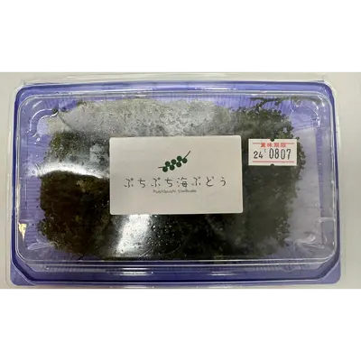 UMIBUDŌ - FRESH WILD SEA GRAPES - Caulerpa lentillifera GSK1.png