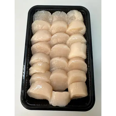 U20 Hotate 500 g Tray