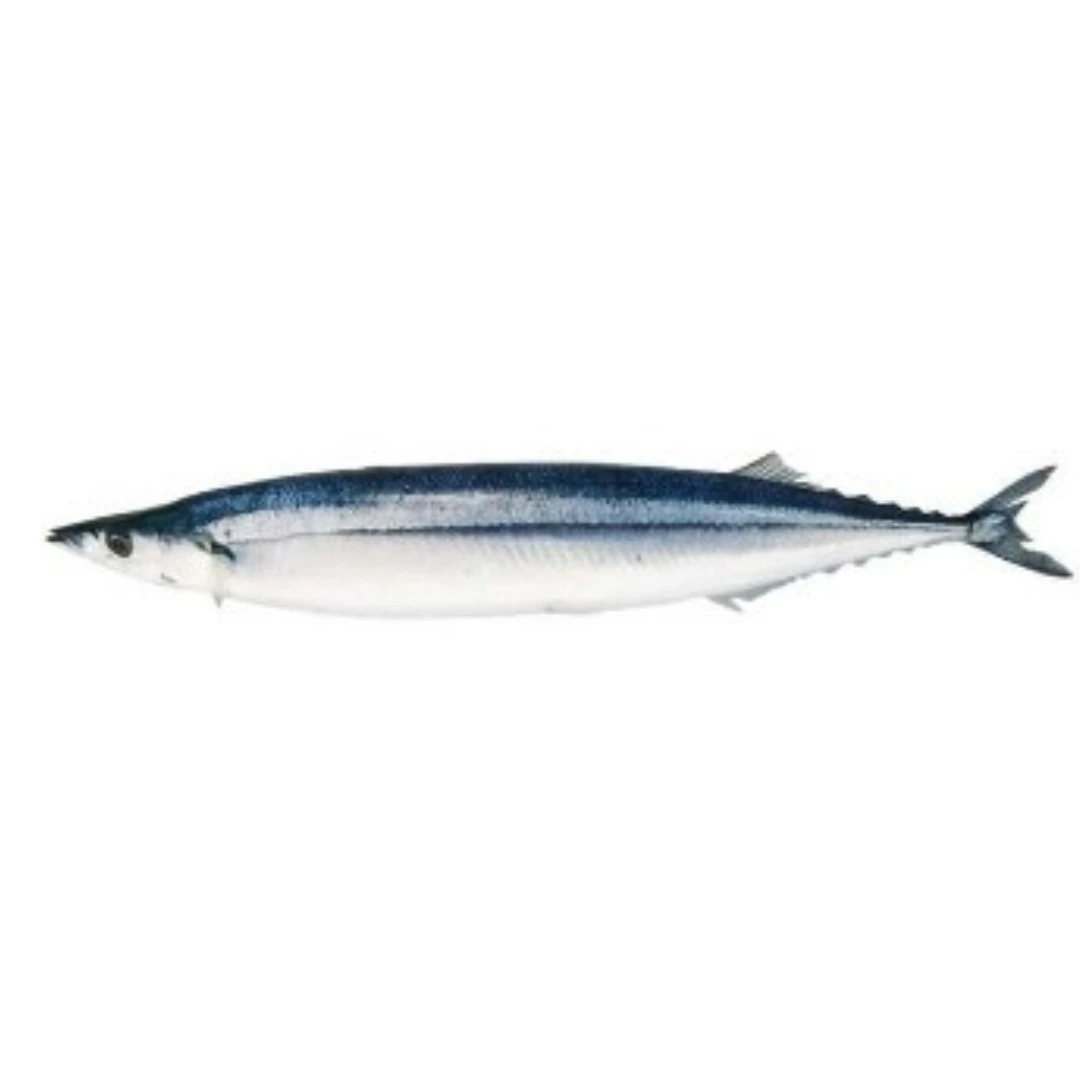 SANMA.png