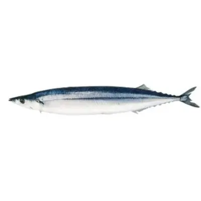 M Sanma WHOLE