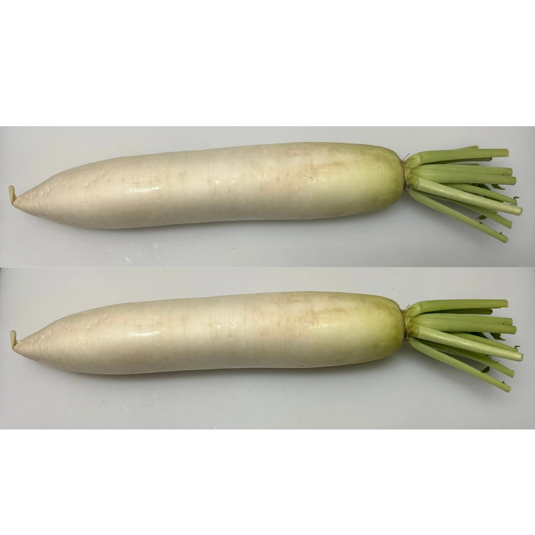 DAIKON - FRESH WILD RADISH - Raphanus sativus var. hortensis.png