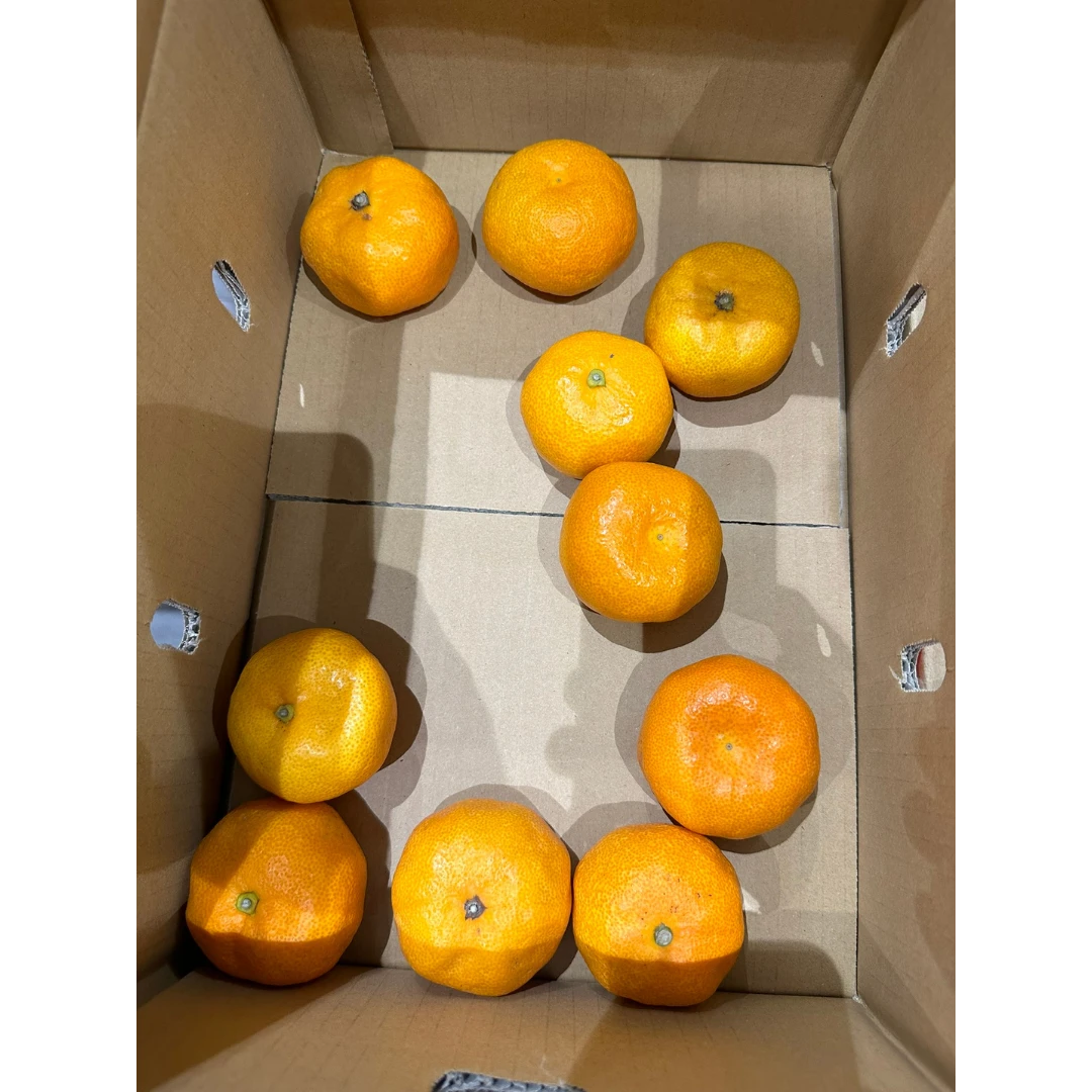 mikan.png