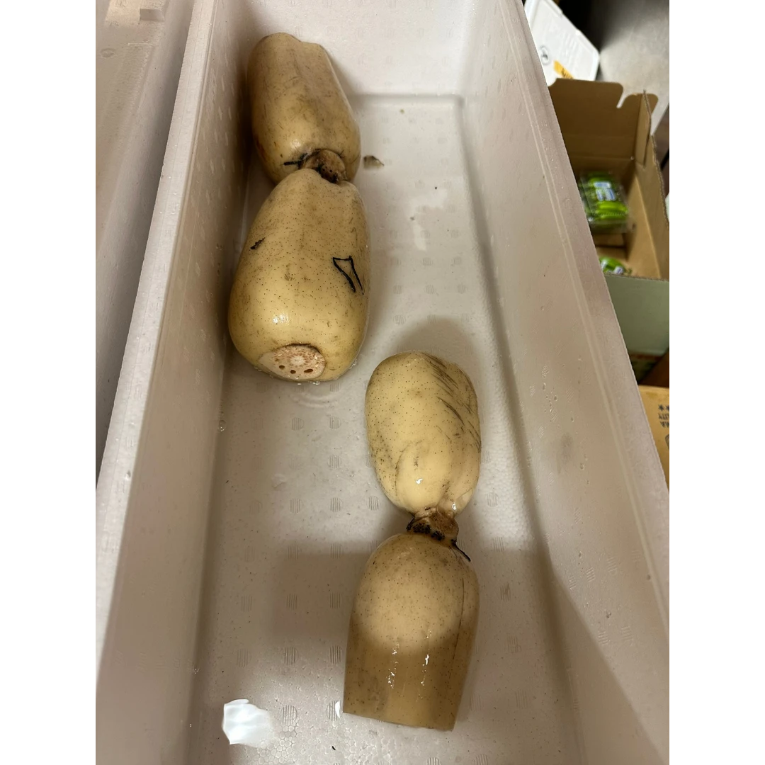 lotus root.png