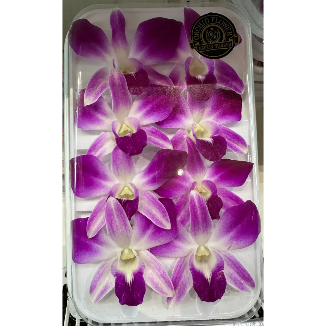 orchid.png